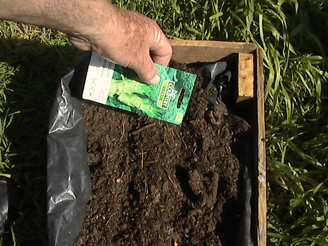 plantseeds